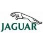 peinture-jaguar